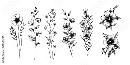 Botanical rustic trendy greenery vector. Hand drawn wedding branch herb, minimalist flowers with elegant leaves. 