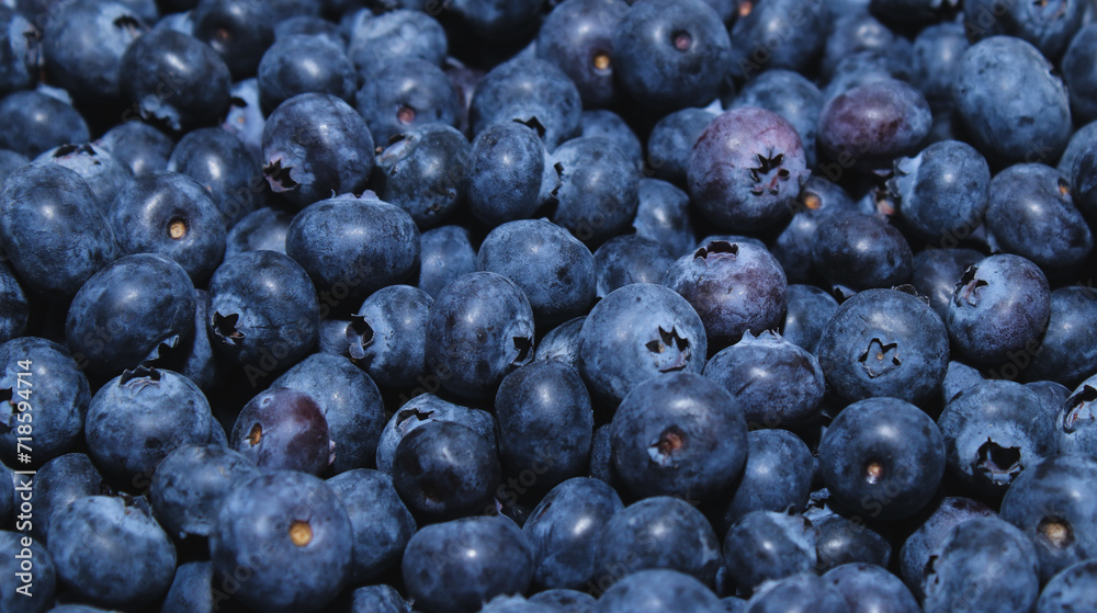 Close up of fresh blueberries, natural background Close up of fresh blueberries, natural background