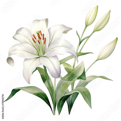 Elegant Blooms: Embrace Easter with the Timeless Beauty of Easter Lily