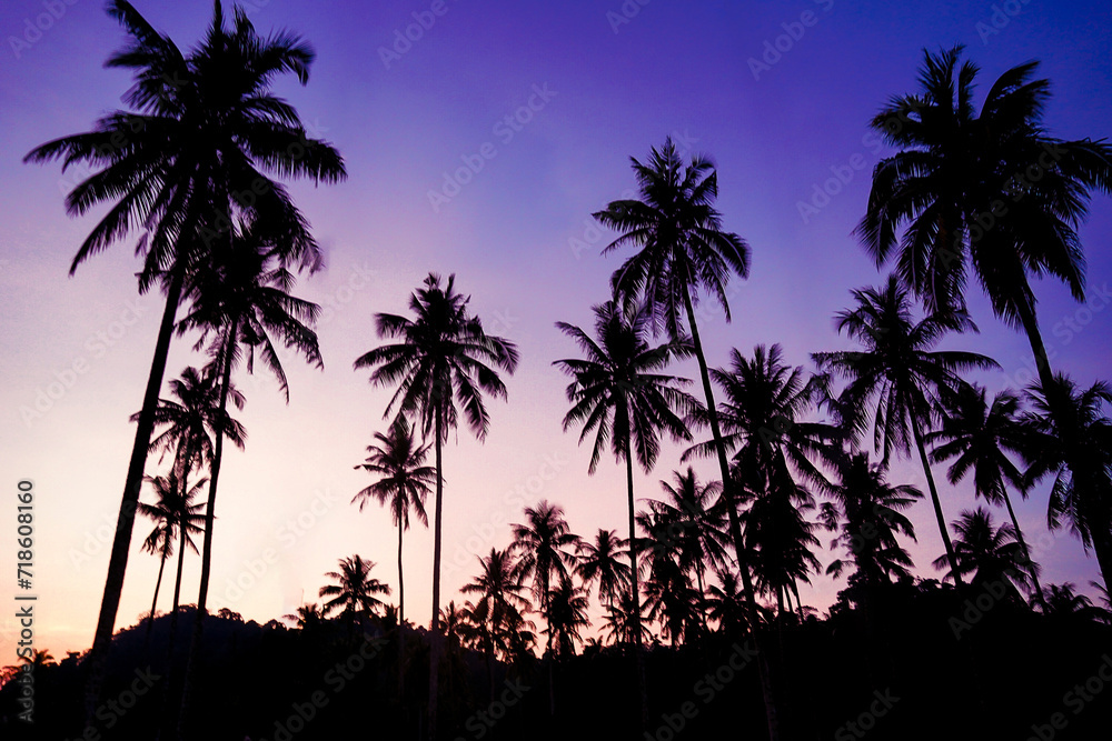 Naklejka premium Silhouetted of coconut tree during sunset. palm tree with sun light on sky background. Isolated tall coconut palm tree against colorful sunset sky background of tropical island, Thailand.