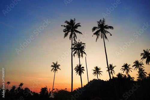 Silhouetted of coconut tree during sunset. palm tree with sun light on sky background. Isolated tall coconut palm tree against colorful sunset sky background of tropical island, Thailand.