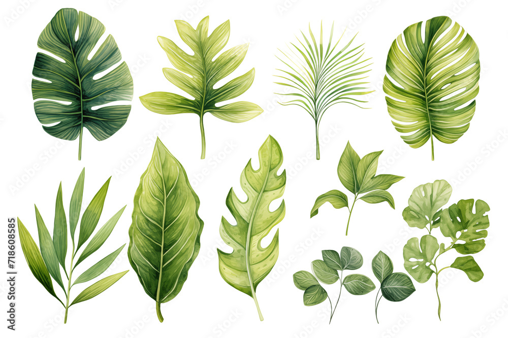  tropical leaves in shades of green with a watercolor effect on a white background.