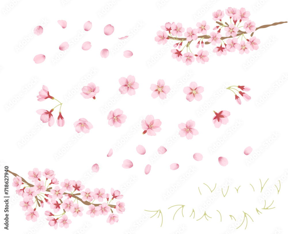 水彩風の桜のイラストパーツセット
