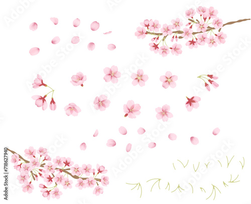 水彩風の桜のイラストパーツセット 