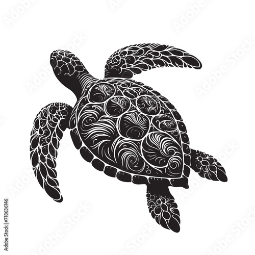 happy sea turtle swimming underwater