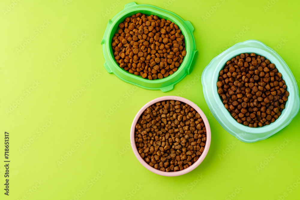 Pet bowl with dry food on green background studio shot Pet bowl with dry food on green background studio shot