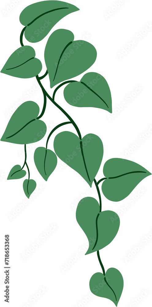 Obraz premium ivy plant drawing illustration.