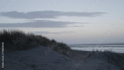 Marram grass blowing in the wind at sunset on Ainsdale beach in Merseyside photo