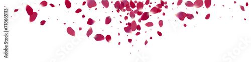 Delicate Floral Fall Vector White Panoramic