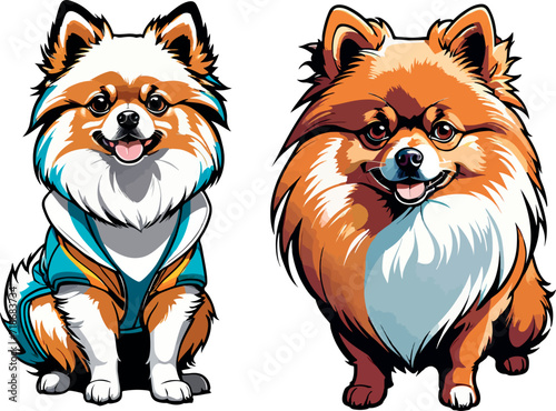 Pomeranian German spitz vector image