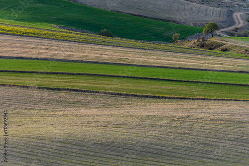 Abstract Earth Tones of Striped Agricultural Land
