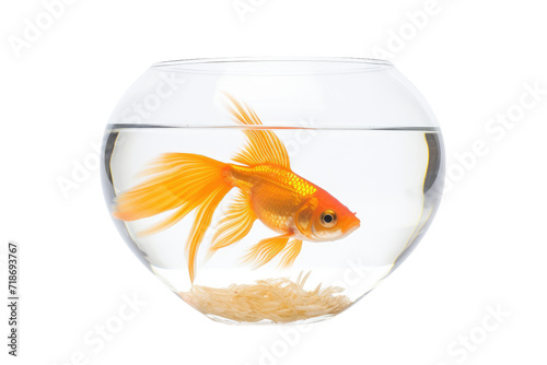 Goldfish in a Bowl Isolated On Transparent Background