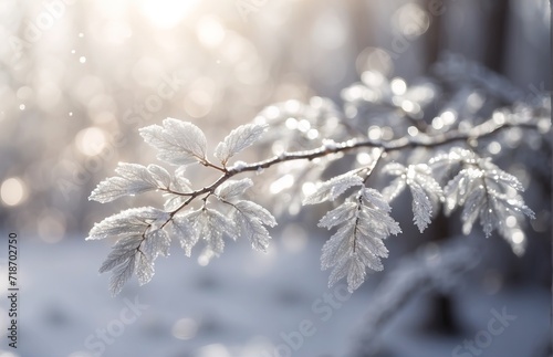 Silver glitter branch on bright snow forest sunshine background
