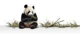 Cute panda cartoon isolated on white background.
