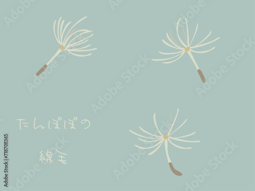 たんぽぽの綿毛