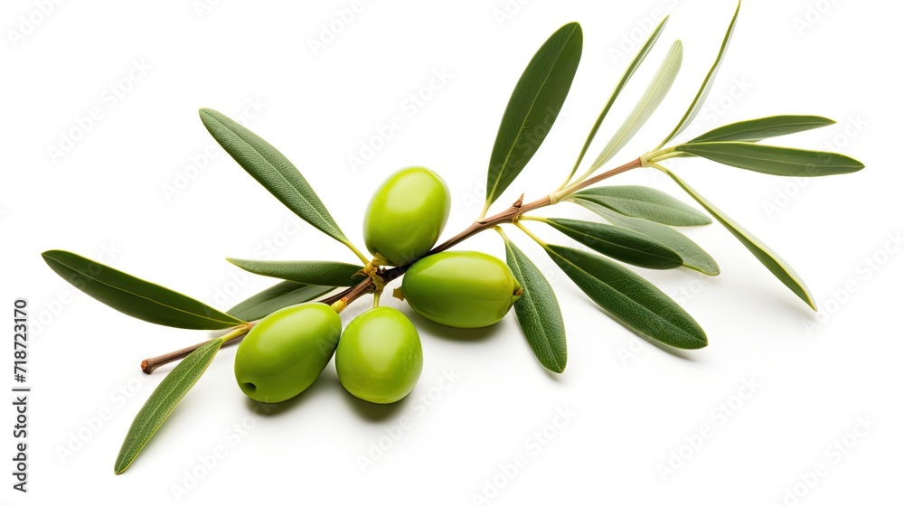 Olive Branches Close-Up. Generative AI Olive Branches Close-Up. Generative AI