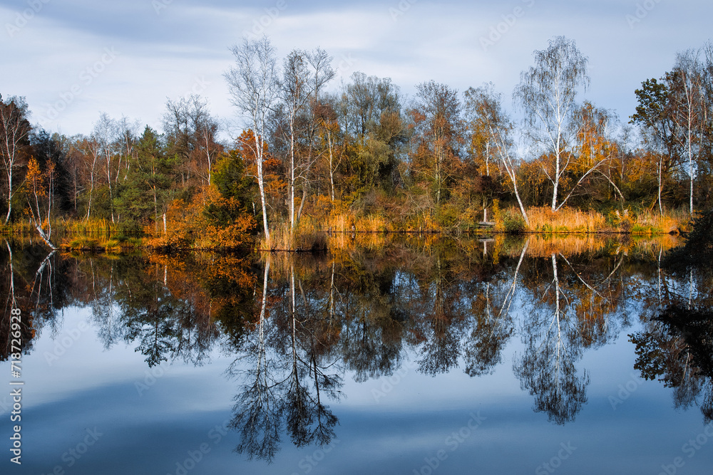 Moorlandschaft die sich im ruhigen Wasser des Weihers spiegelt. Blauer Himmel mit Schleierwolken