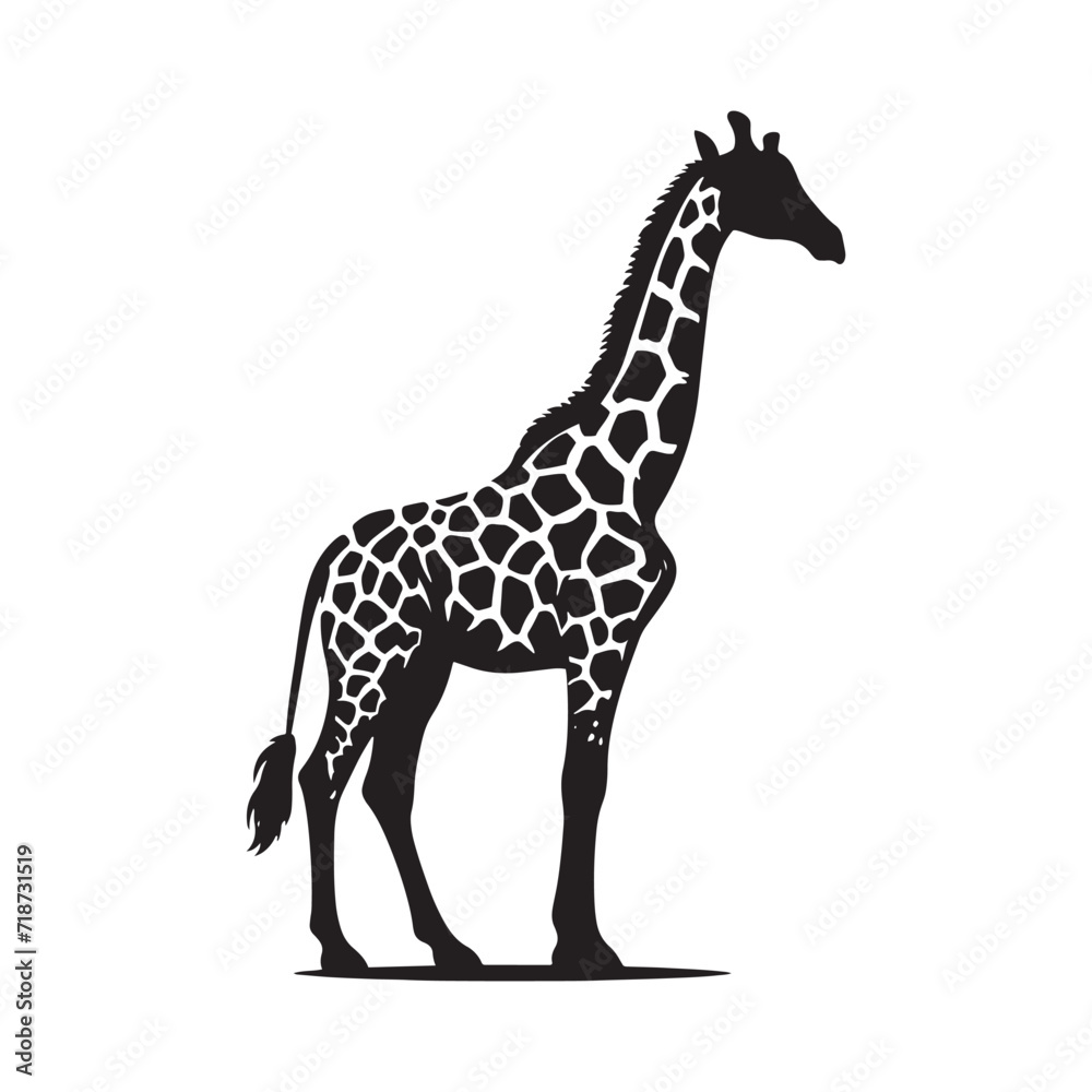 Obraz premium Whispering Treetops: Giraffe Silhouettes Navigating the Canopy, Silently Sharing Secrets of the Savannah - Giraffe Illustration - Giraffe Vector 
