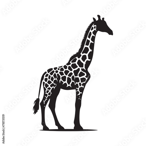 Whispering Treetops  Giraffe Silhouettes Navigating the Canopy  Silently Sharing Secrets of the Savannah - Giraffe Illustration - Giraffe Vector 