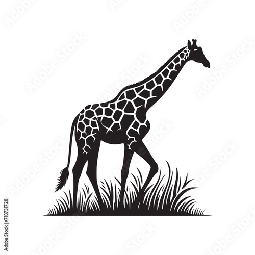 Twilight Serenity  Giraffe Silhouette Set Bathed in the Tranquil Hues of the African Sunset - Giraffe Illustration - Giraffe Vector 