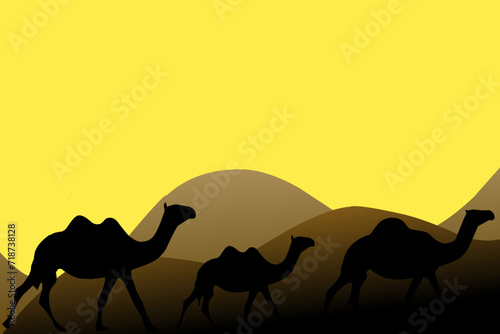 camels in the desert