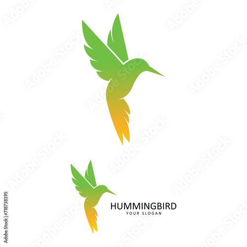 Beautiful Simple Bird Colibri Logo Design Vector. This logo is great for companies or businesses related to animals, and nature photographer