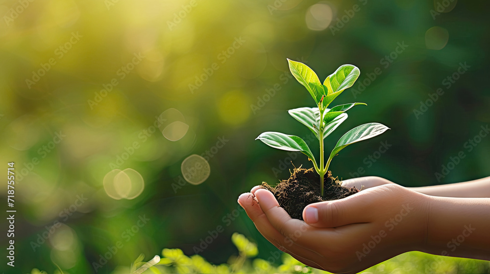 hand young woman holding young plant with sunlight on green nature background. concept eco earth day, Growing concept eco