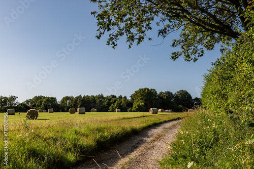 A pathway running alongside a field with hay bales, on a summer's day in Sussex