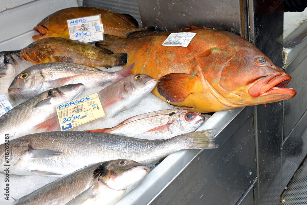 Frische Speisefische auf dem Fischmarkt in Danzig