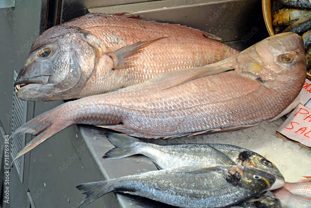 Frische Speisefische auf dem Fischmarkt in Danzig