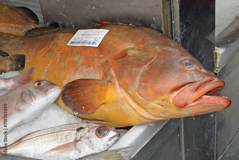 Frische Speisefische auf dem Fischmarkt in Danzig