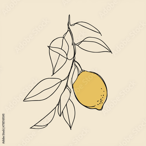 Simple line drawing illustration of a lemon on a tree branch