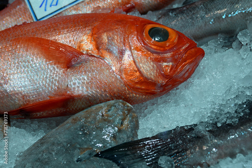 Frische Speisefische auf dem Fischmarkt in Danzig