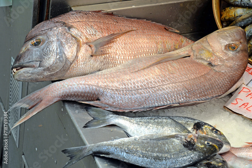 Obraz na płótnie Frische Speisefische auf dem Fischmarkt in Danzig w salonie