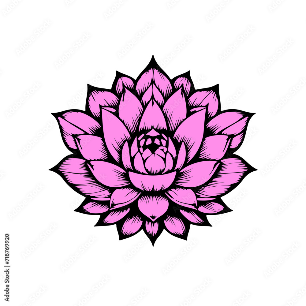 pink lotus flower