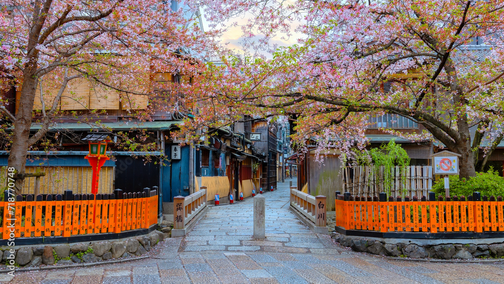 Fototapeta premium Tatsumi bashi bridge in Gion district with full bloom cherry blossom in Kyoto, Japan