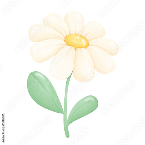 White flower cartoon drawing