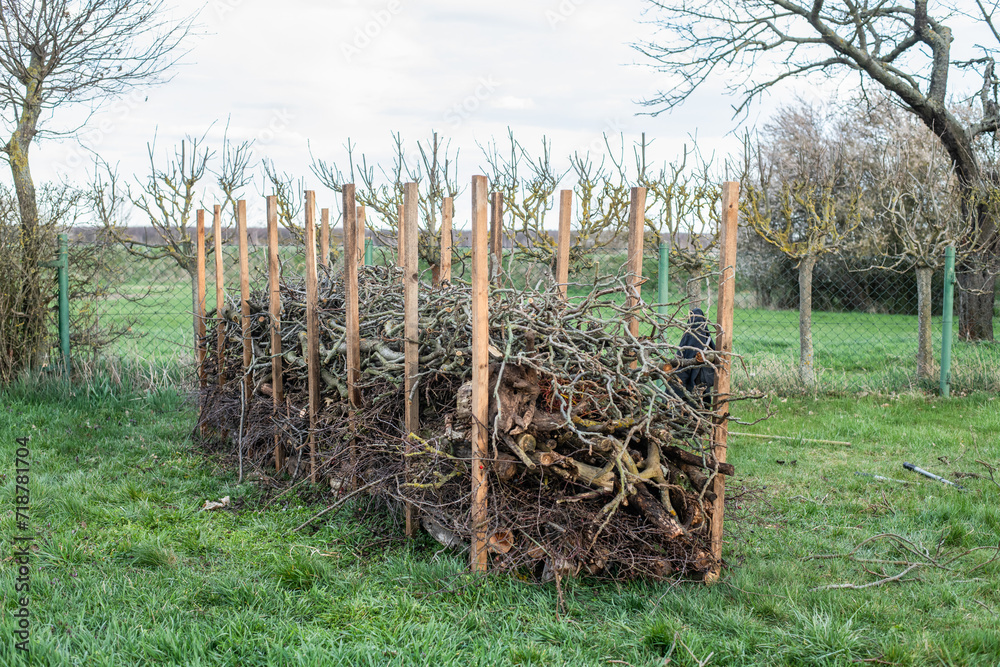 custom made wallpaper toronto digitalBenjeshecke aus Totholz im Garten selber bauen