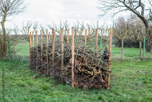 Wallpaper Mural Benjeshecke aus Totholz im Garten selber bauen Torontodigital.ca