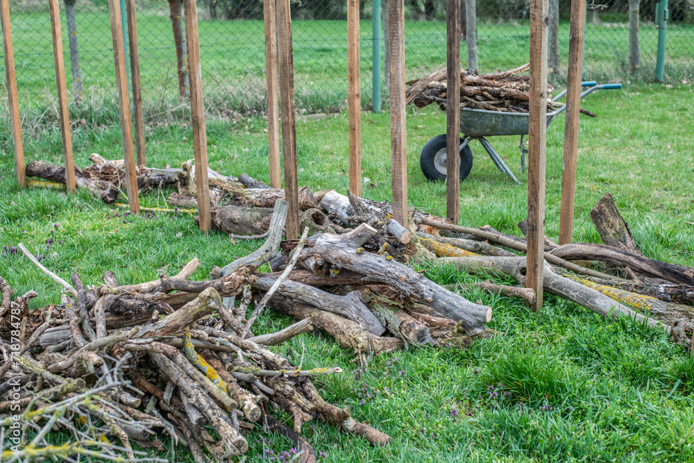 Benjeshecke aus Totholz im Garten selber bauen Benjeshecke aus Totholz im Garten selber bauen