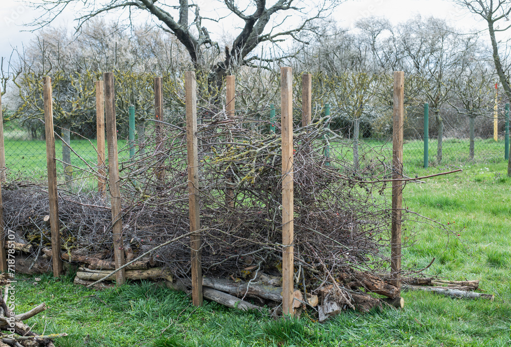 Benjeshecke aus Totholz im Garten selber bauen Benjeshecke aus Totholz im Garten selber bauen