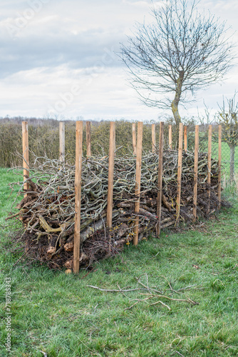 Wallpaper Mural Benjeshecke aus Totholz im Garten selber bauen Torontodigital.ca
