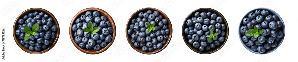 Collection bowl of blueberries isolated on a transparent background, top view Collection bowl of blueberries isolated on a transparent background, top view