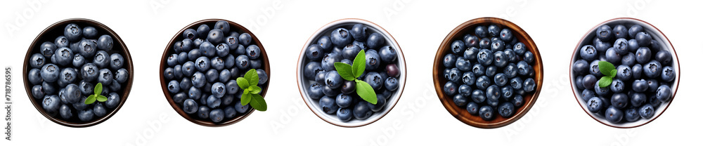 Collection bowl of blueberries isolated on a transparent background, top view Collection bowl of blueberries isolated on a transparent background, top view