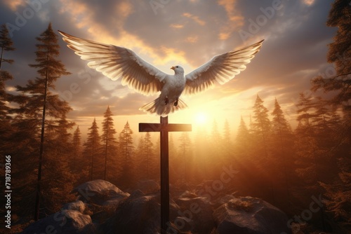 Sun  forest  dove  cross  symbols of death and resurrection.