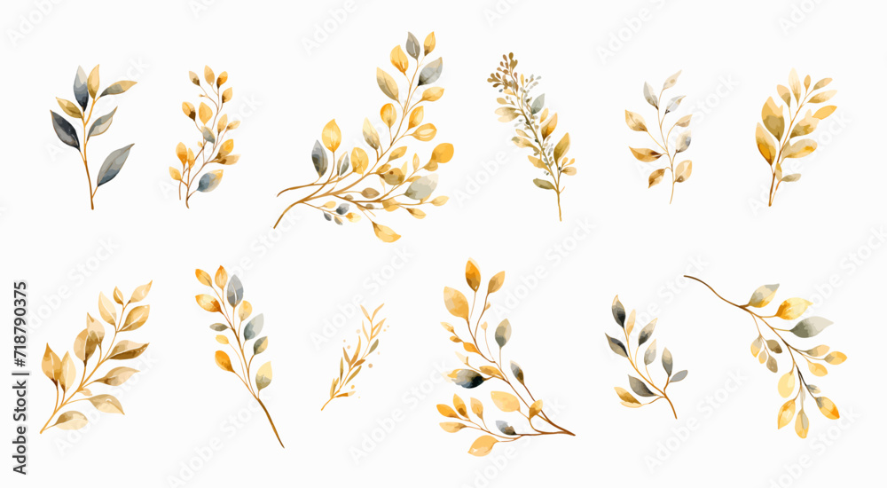 Foliage collection of golden branches.
Watercolor botanical design elements for greeting, birthday, baby shower, wedding invitation cards, mother's day Foliage collection of golden branches.
Watercolor botanical design elements for greeting, birthday, baby shower, wedding invitation cards, mother's day