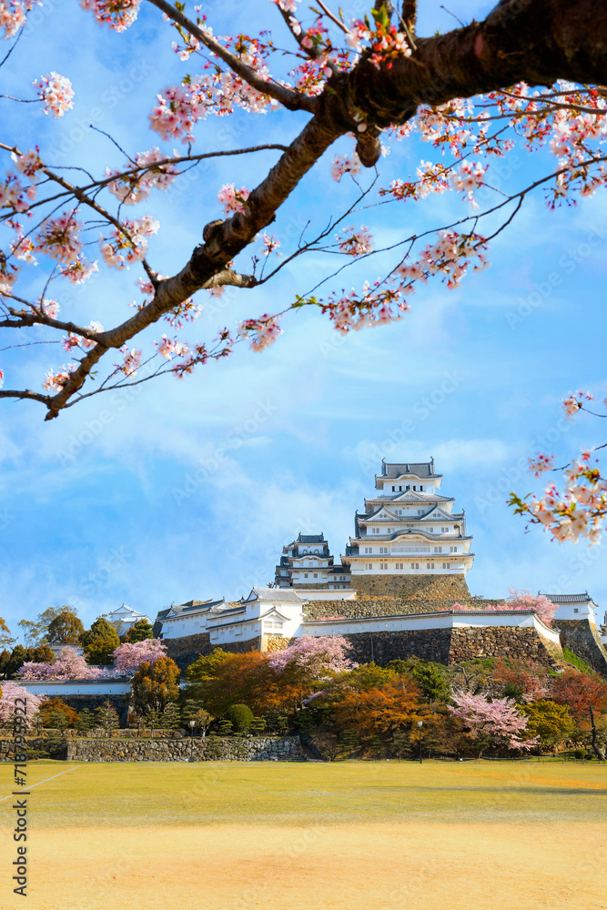 Scenic full bloom cherry blossom at Himeji castle in Hyogo, Japan Scenic full bloom cherry blossom at Himeji castle in Hyogo, Japan