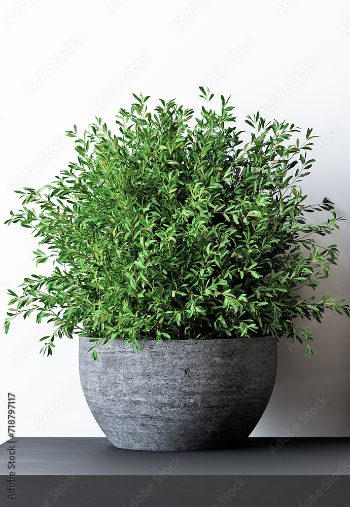 herbs in a pot herbs in a pot