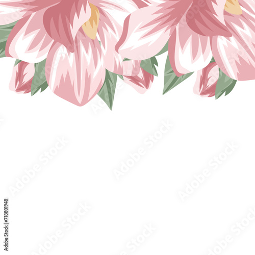 Fototapeta Naklejka Na Ścianę i Meble -  template for a holiday card or invitation in a floral style of open buds of spring, pink magnolias on one side illustration and blank space for greeting text on a white background, vector