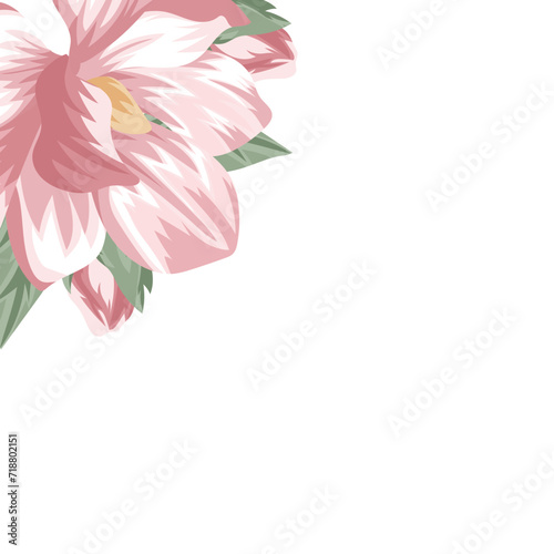 template for a holiday card or invitation in a floral style, namely an open bud of a spring, pink magnolia on one side illustration and blank space for greeting text on a white background, vector